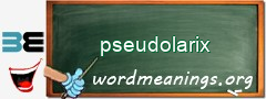 WordMeaning blackboard for pseudolarix